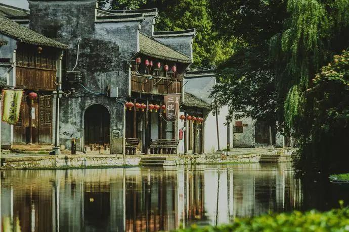 探索知识星球平台——四项基本原则分别是什么?,发现你所不知的